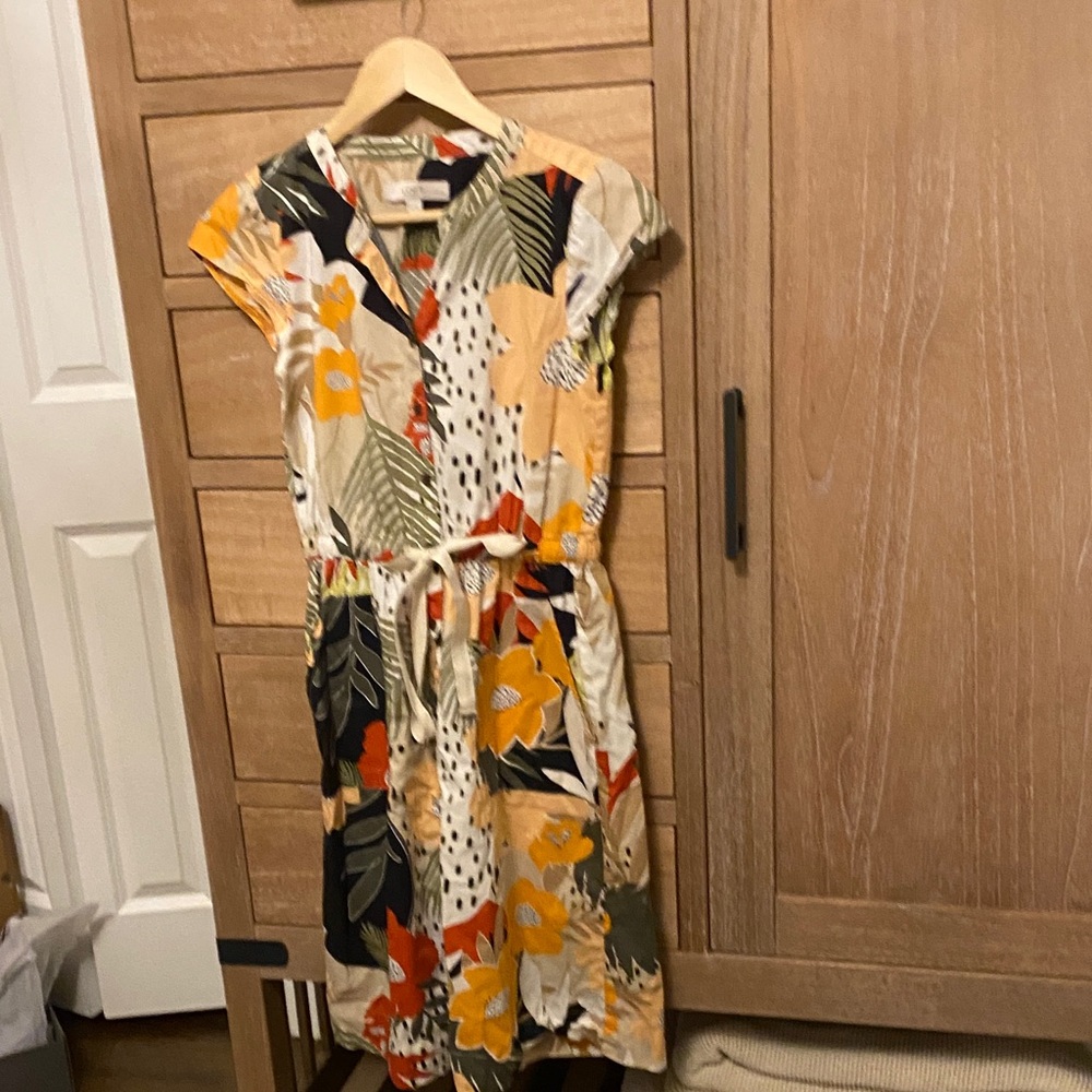 loft Petite Floral Print Women's Dress